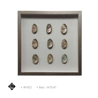 Framed 9 Piece Sea Shell