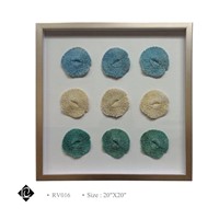 Framed 9 Piece Sea Urchin