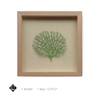 Framed Green Sea Fan