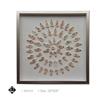 Framed Sea Shell