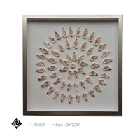 Framed Sea Shell