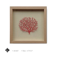 Framed Red Sea Fan