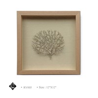 Framed Champagne Sea Fan