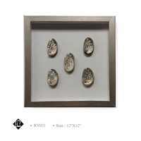 Framed 5 Piece Sea Shell