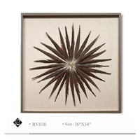 Framed Feather