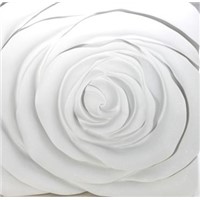 Wall Rose Natural