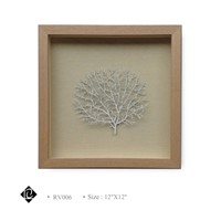 Framed White Sea Fan