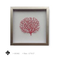 Framed Pink Sea Fan