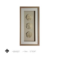 Framed 3 Piece White Sea Urchin