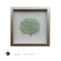 Framed Green Sea Fan