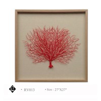 Framed Red Sea Fan