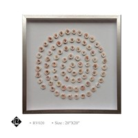 Framed Sea Shell