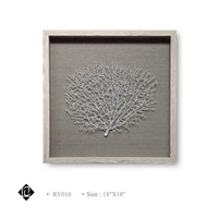 Framed White Sea Fan