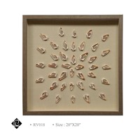 Framed Sea Shell